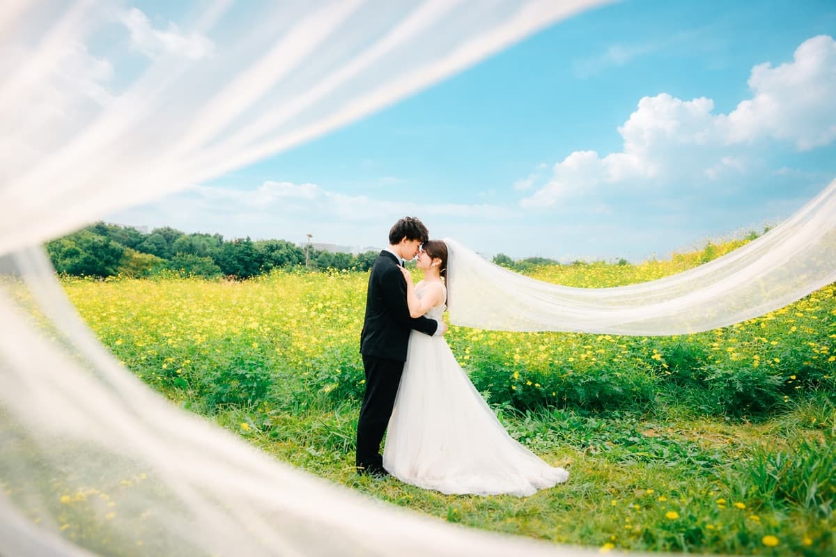 カップル 青空 ベール