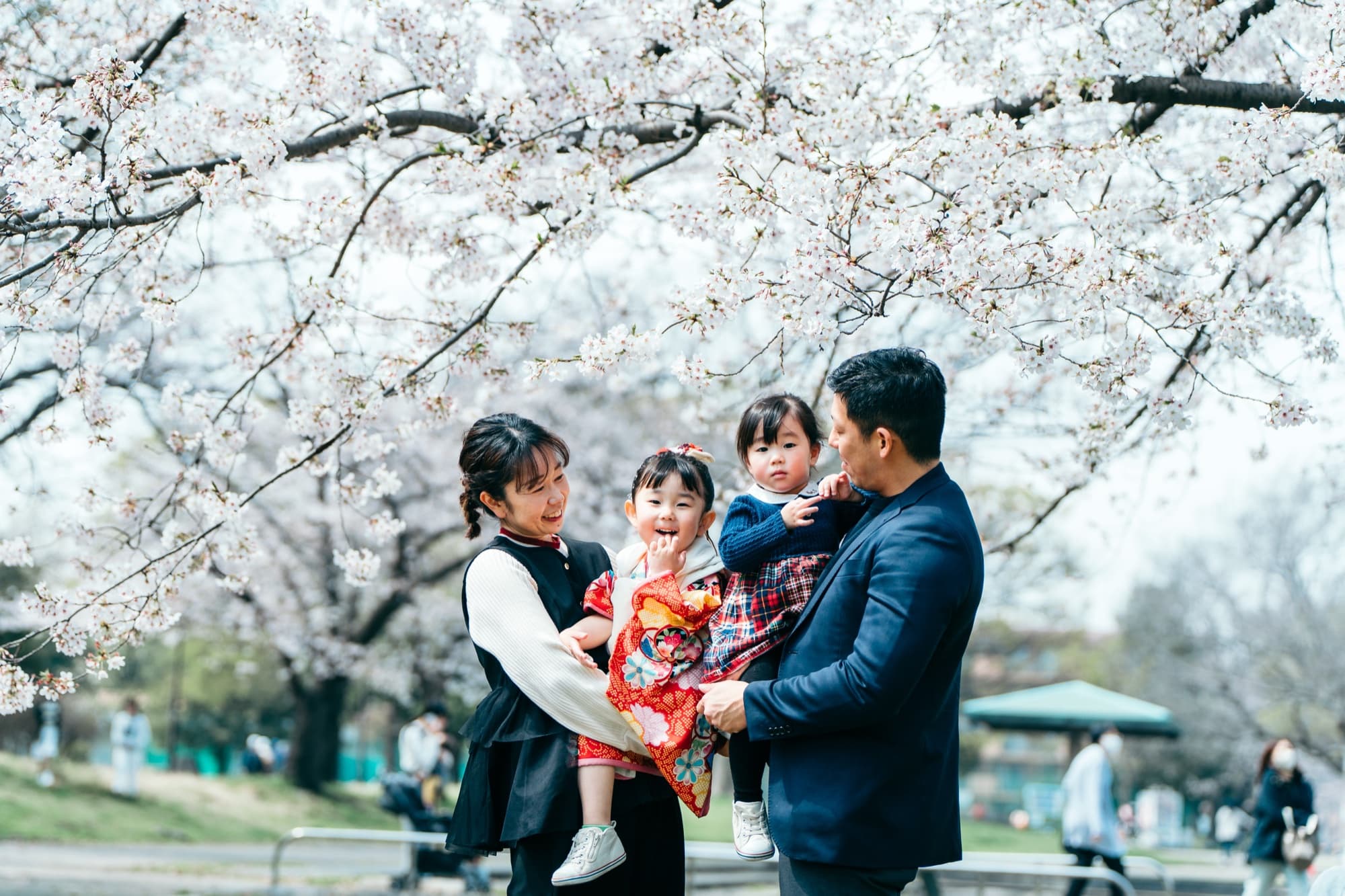 七五三 家族写真 桜 ファミリー