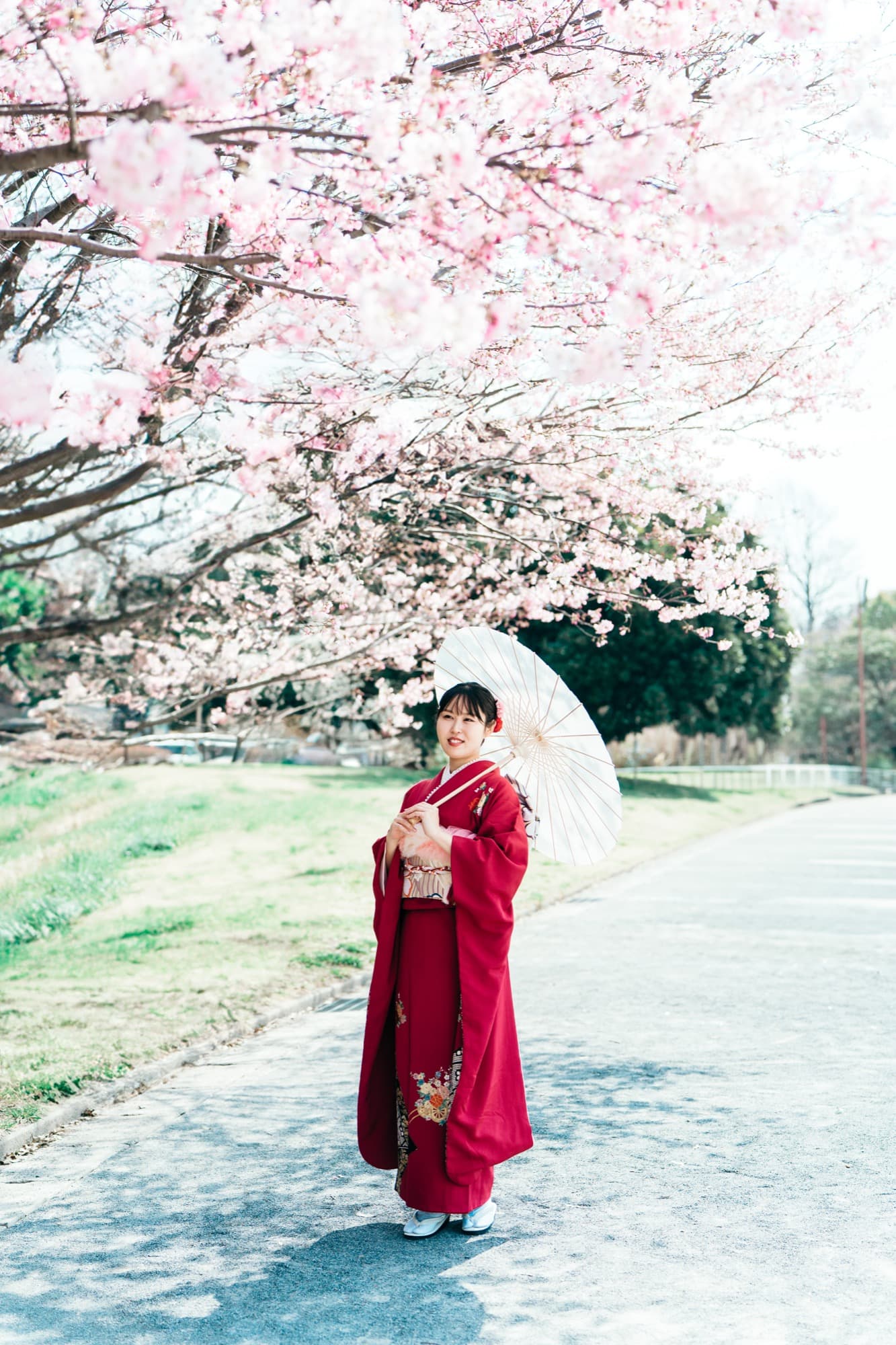 和傘を使った撮影