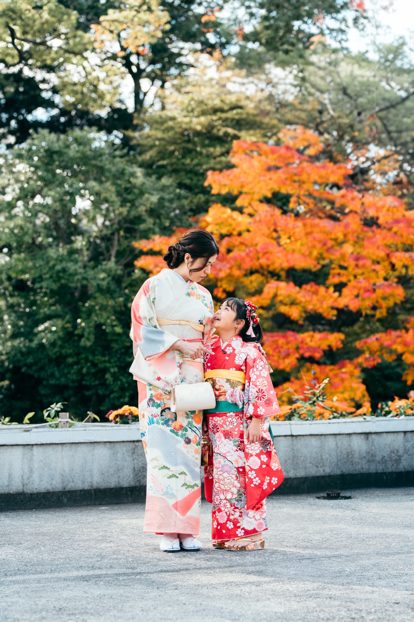 紅葉の庭を歩く着物姿の7歳の七五三の女の子