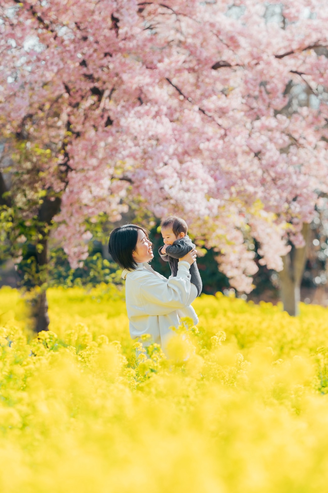 カメラマン ゆう|菜の花畑で赤ちゃんを抱くママカメラマン