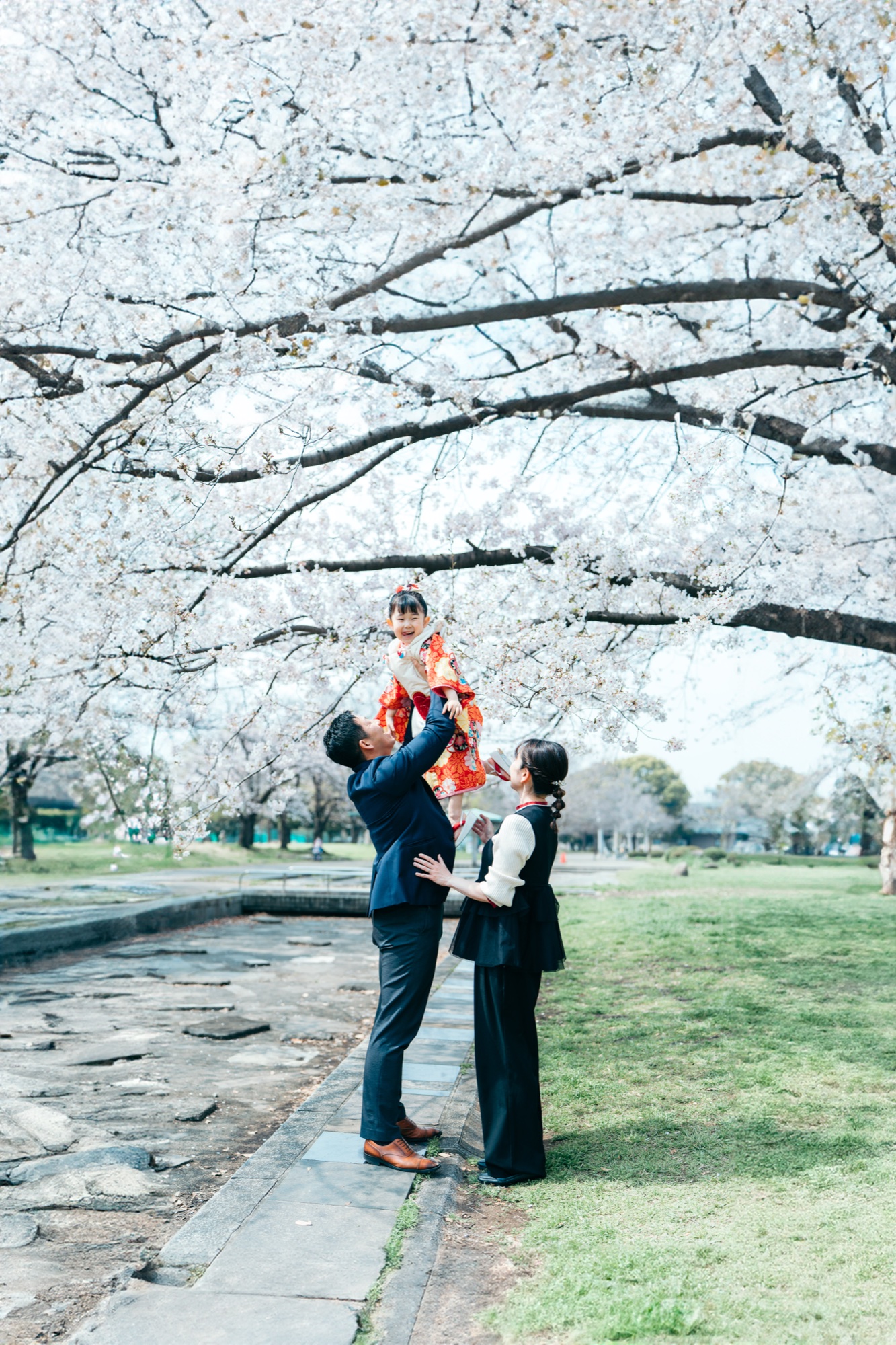 七五三 家族写真 桜 高い高い