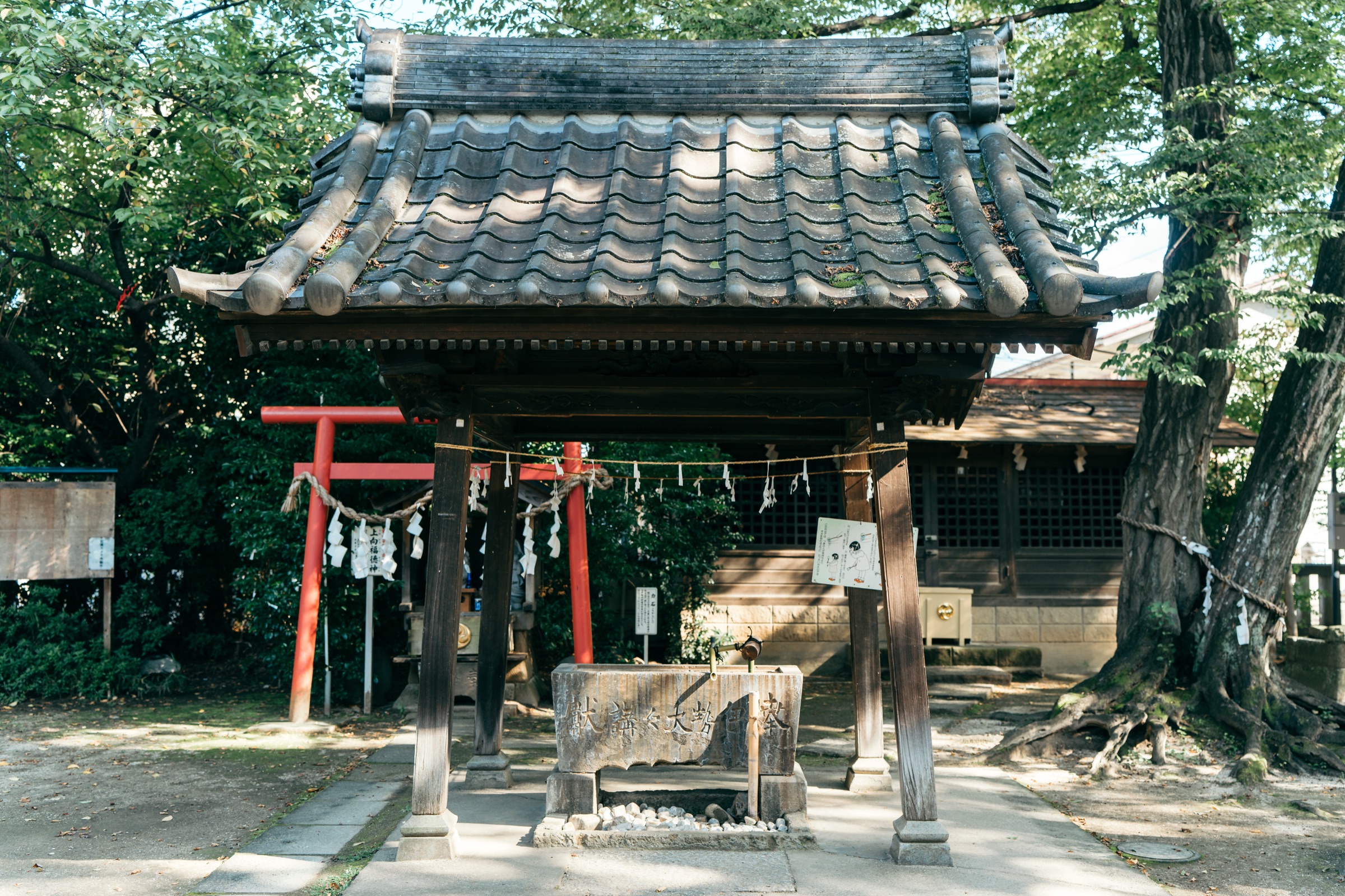 本太氷川神社 七五三撮影