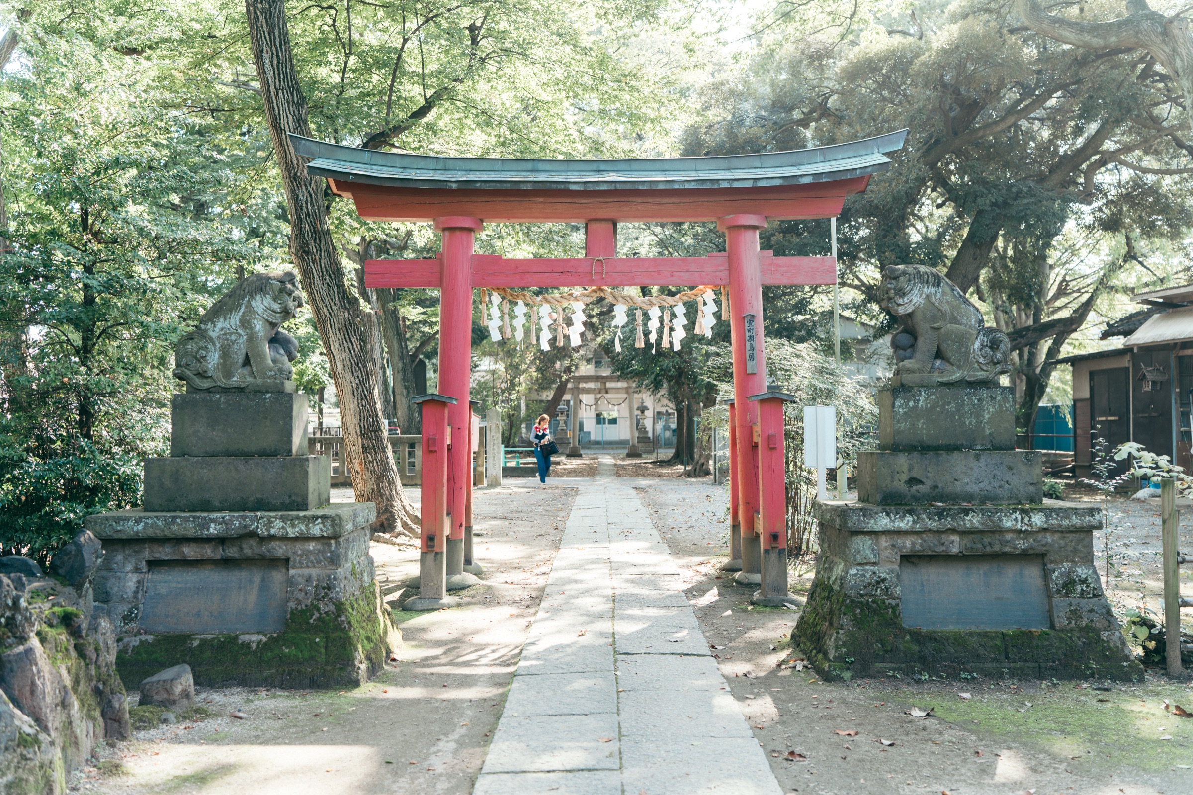 本太氷川神社 七五三撮影