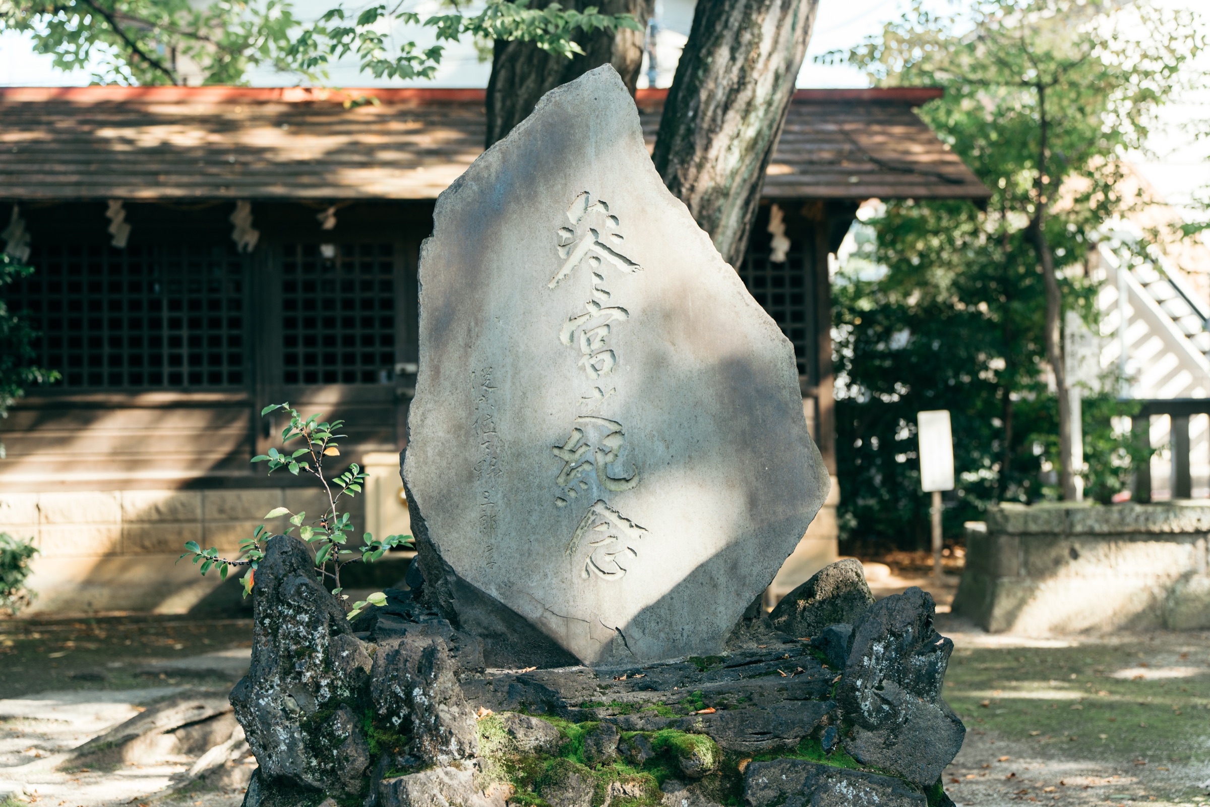 本太氷川神社 七五三撮影