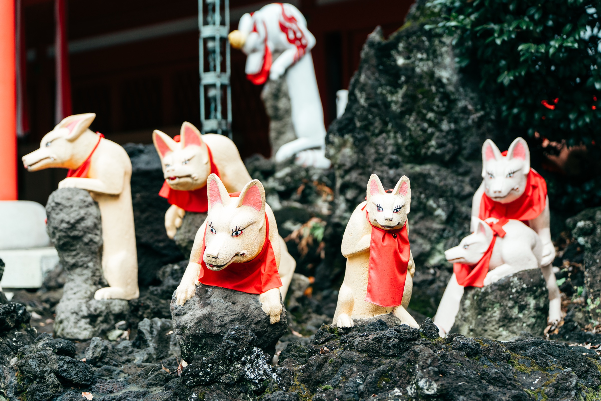 京浜伏見稲荷神社 七五三撮影