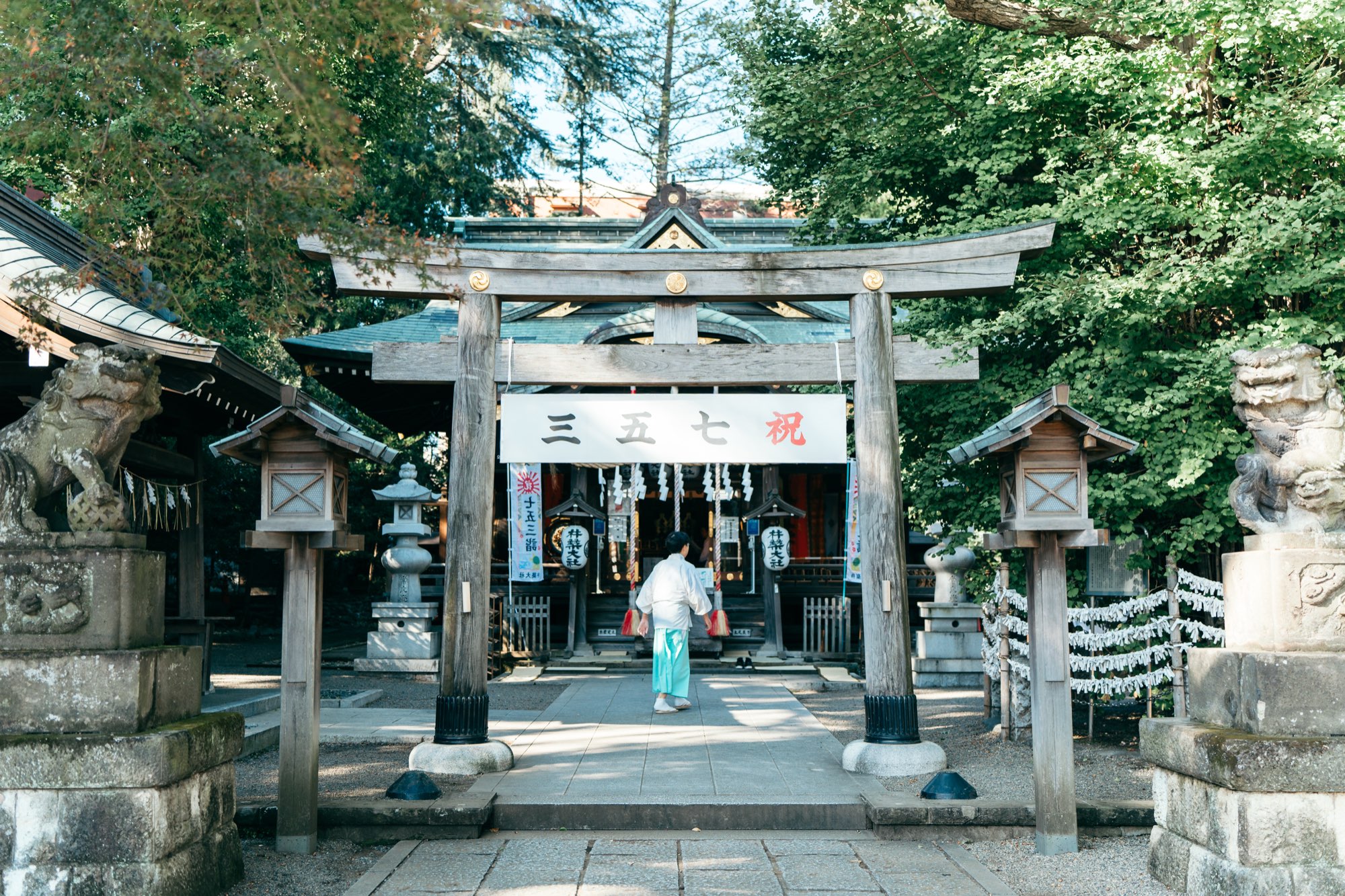 杵築大社の入口の鳥居(祝七五三の幕)