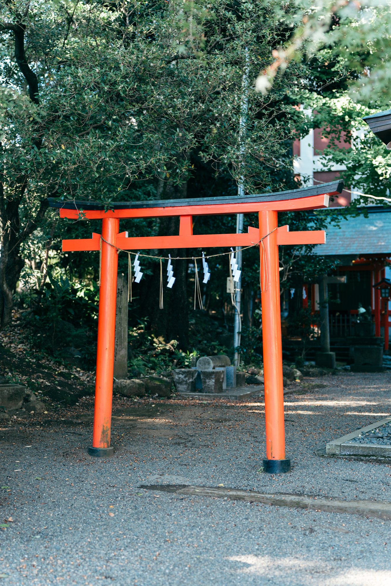 杵築大社の境内の朱色の鳥居