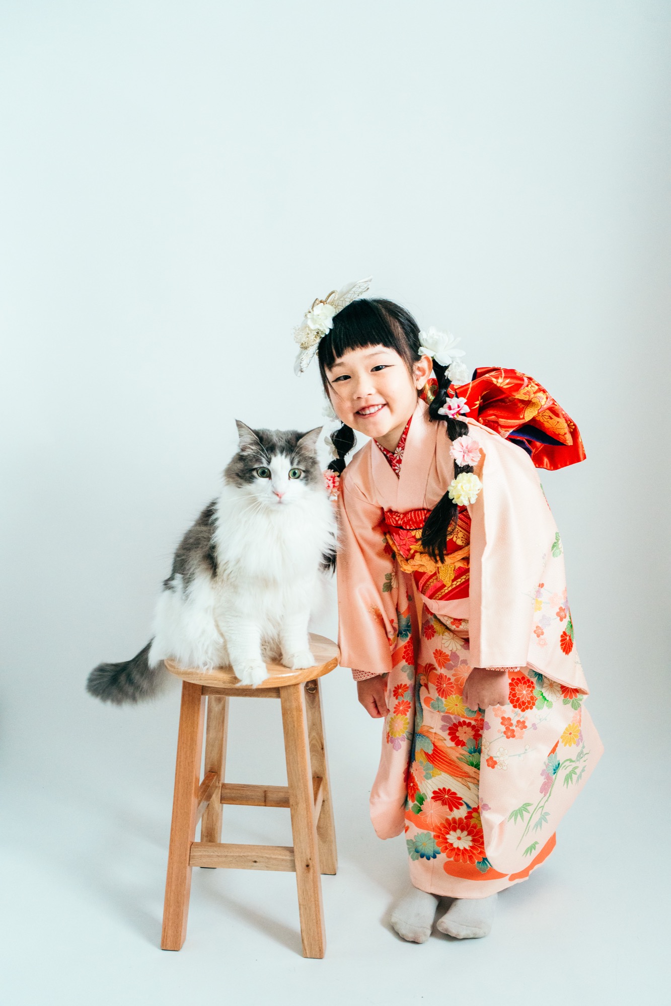 七五三 スタジオ 着物 猫
