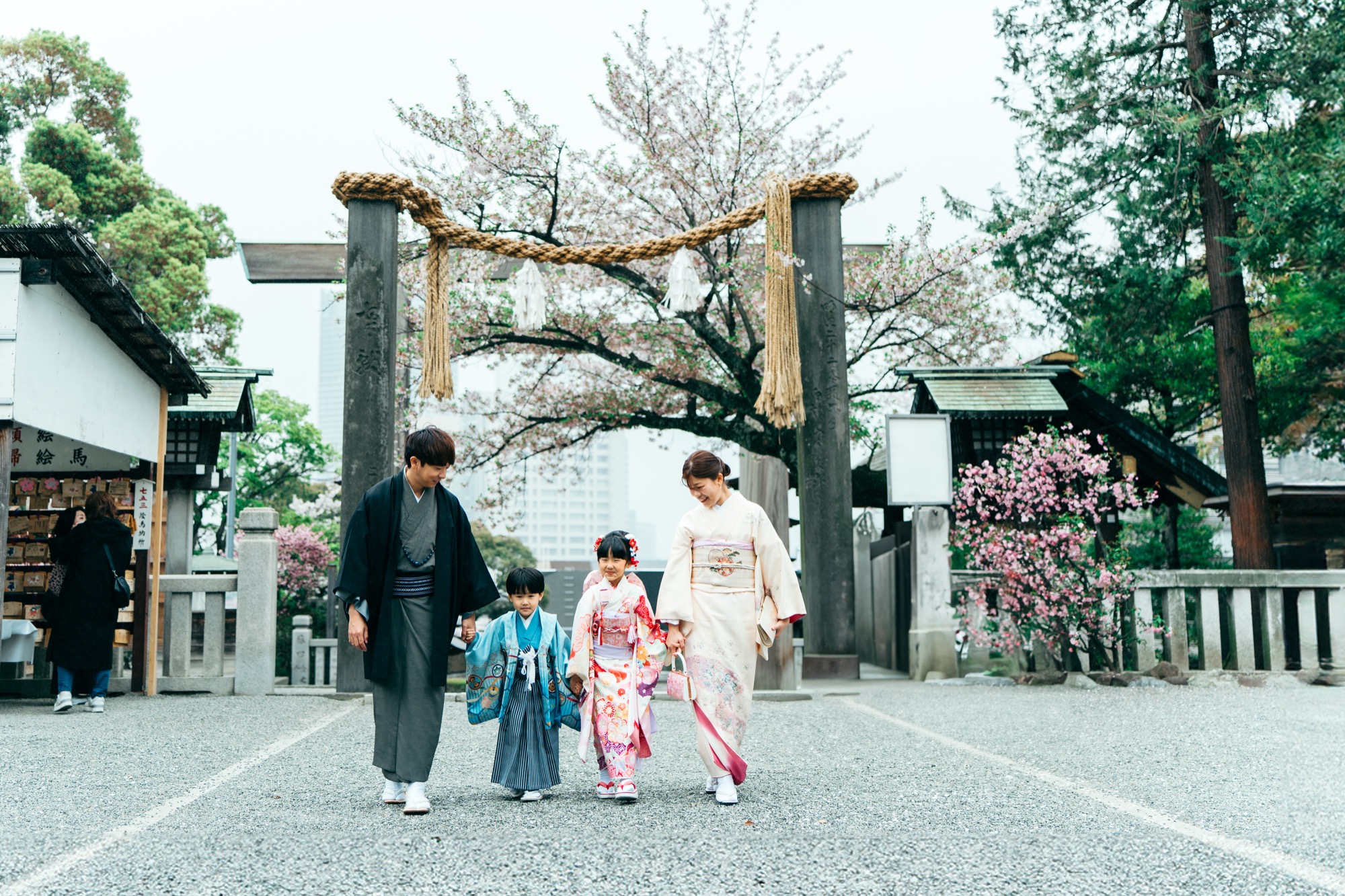 伊勢山皇大神宮の大鳥居の下を手をつないで歩く七五三の家族と桜