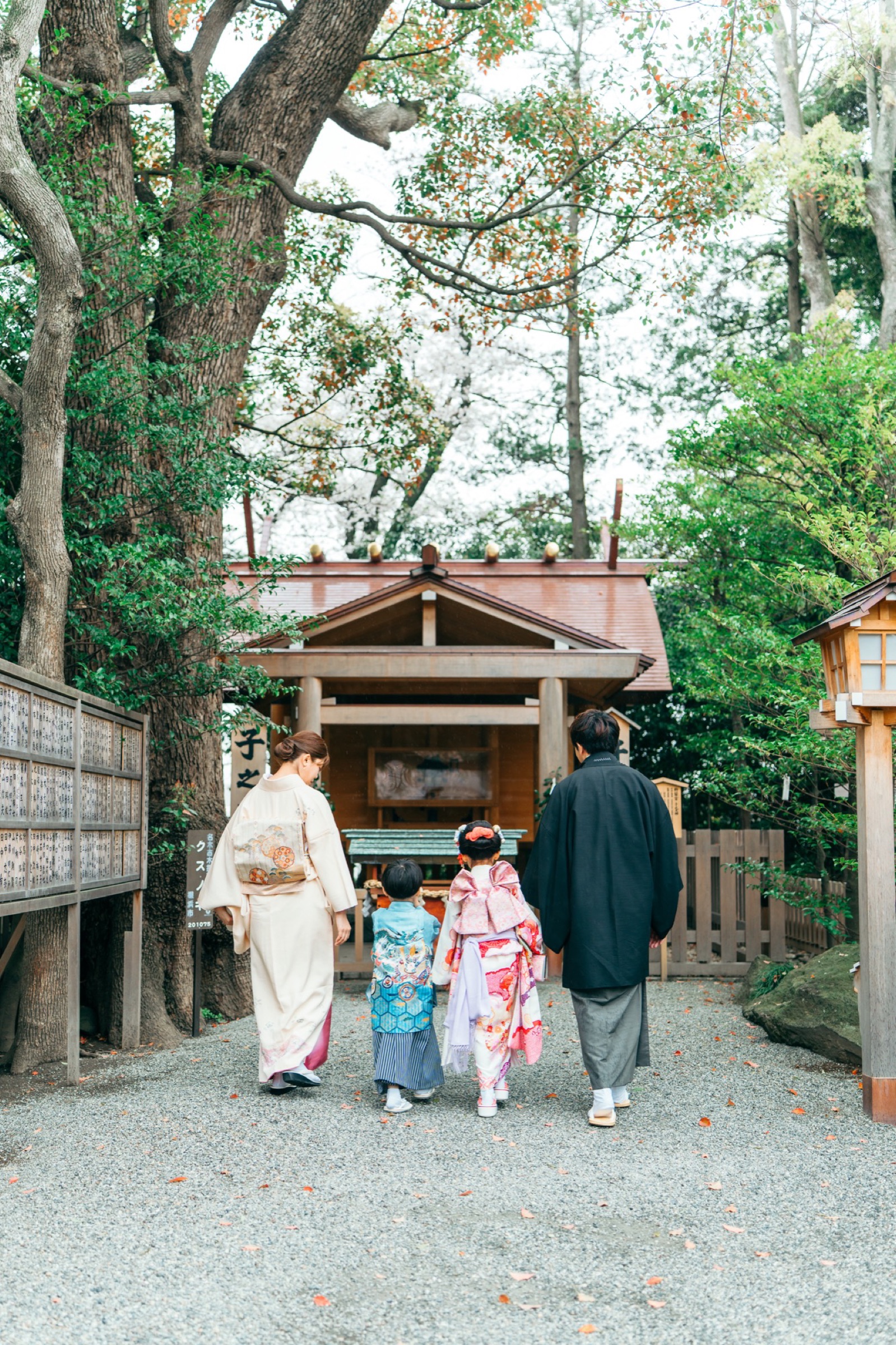 伊勢山皇大神宮の社殿へ向かって歩く七五三の家族の後ろ姿
