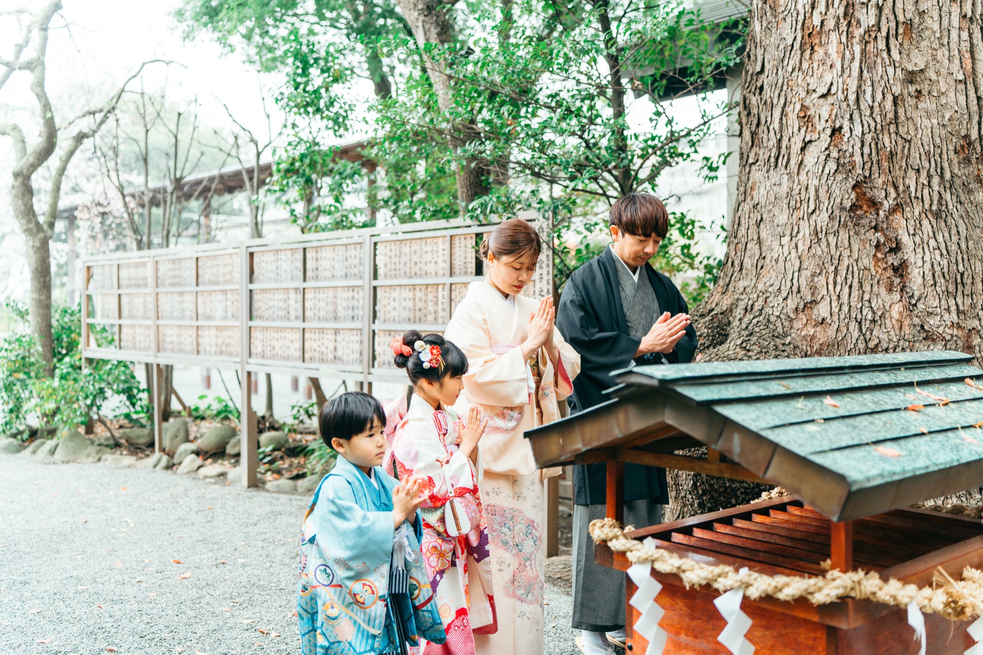 伊勢山皇大神宮の大木の前で手を合わせて参拝する七五三の家族