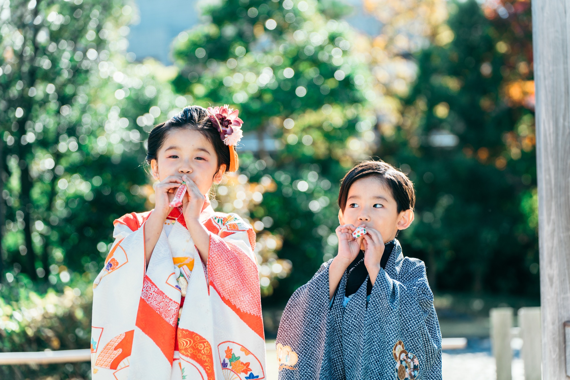 伊勢山皇大神宮で紙笛を吹いて遊ぶ七五三の姉弟(着物姿の7歳の女の子と弟くん)