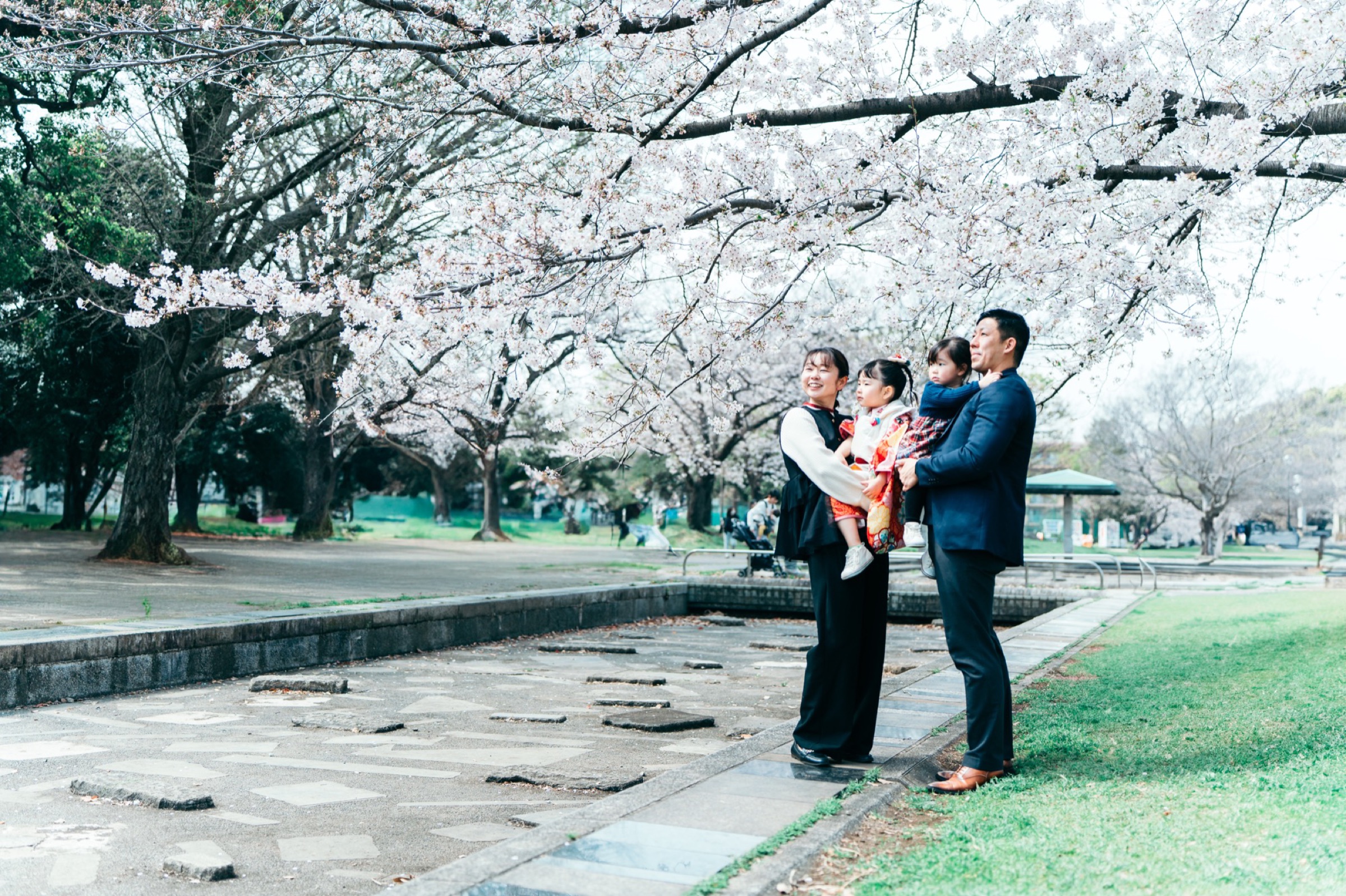 桜のロケーションでママと寄り添う3歳女の子(川崎大師の七五三)