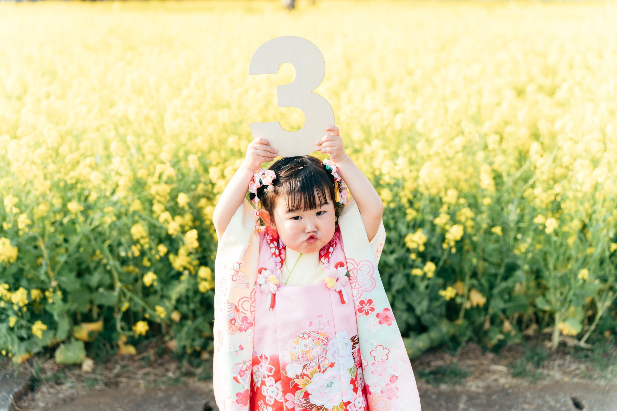 満開の菜の花畑で「3」の数字を持つ、被布姿の七五三・3歳の女の子