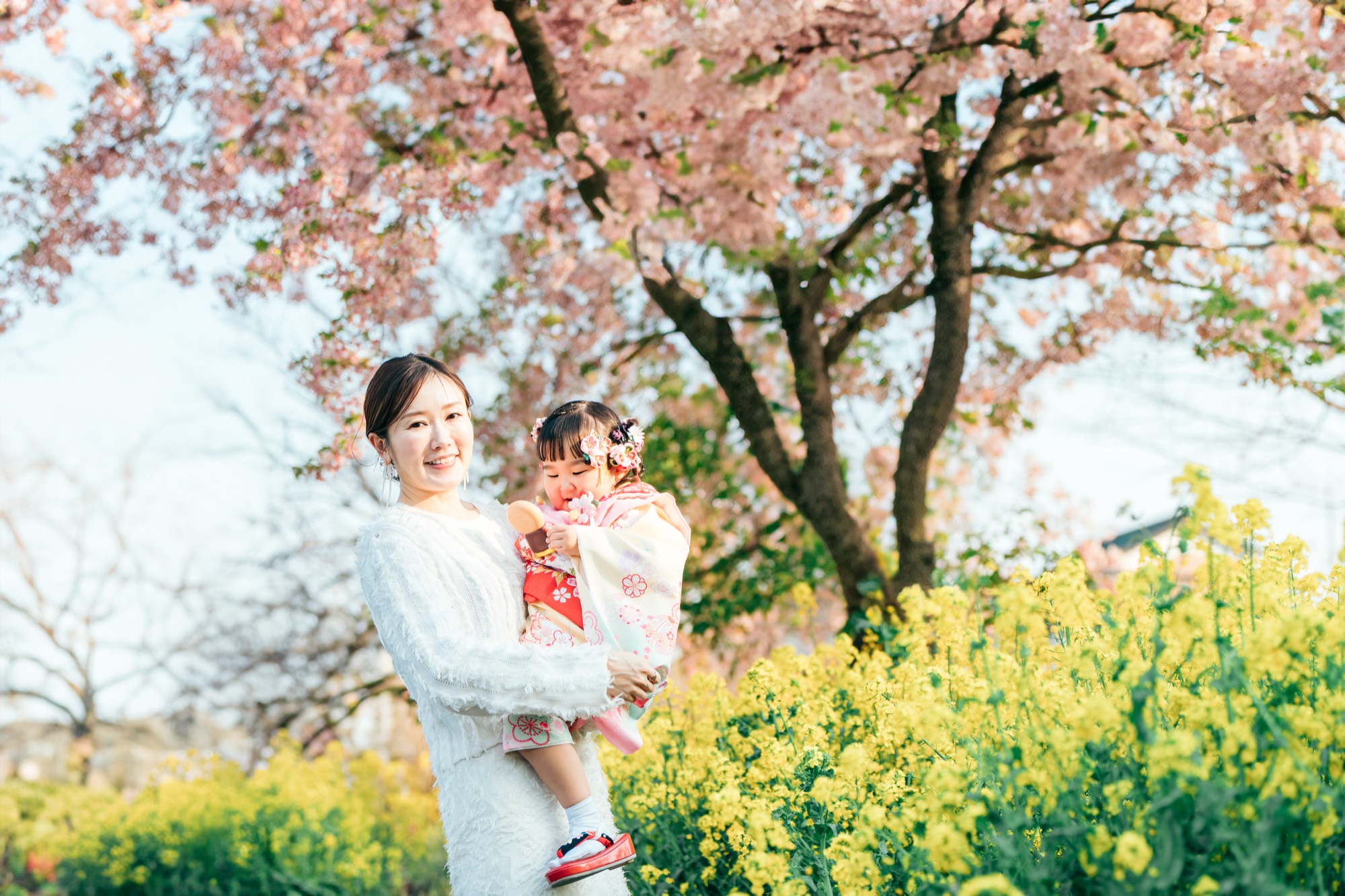 桜と菜の花を背景に、被布姿の3歳の女の子を抱っこするお母様